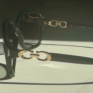 COACH SUNGLASSES HC 8145 (L948)